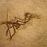 Article teaser image