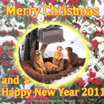 Article teaser image