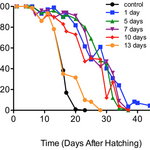 Article teaser image