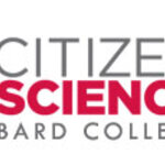 Article teaser image