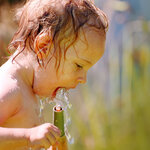 Article teaser image