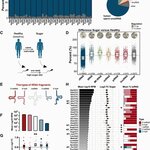 Article teaser image