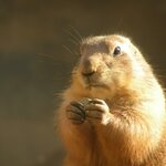 Article teaser image