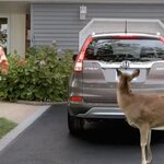 Article teaser image