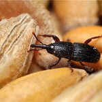 Article teaser image