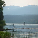 Article teaser image