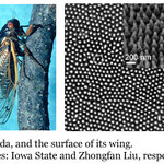 Article teaser image