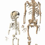 Article teaser image