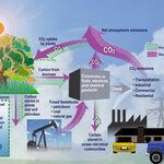 Article teaser image