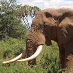 Article teaser image