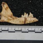 Article teaser image