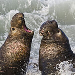 Article teaser image