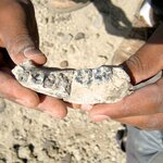 Article teaser image