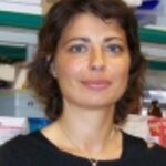 Article teaser image