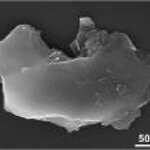 Article teaser image