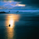 Article teaser image