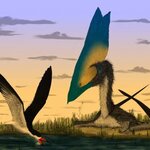 Article teaser image