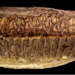 Article teaser image