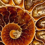 Article teaser image