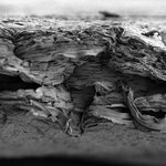 Article teaser image