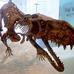 Article teaser image