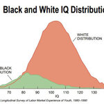 Article teaser image