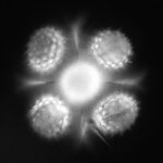 Article teaser image