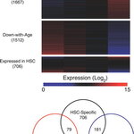 Article teaser image