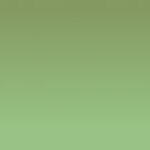 Article teaser image