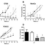 Article teaser image