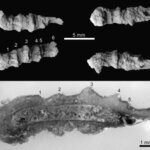 Article teaser image