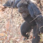 Article teaser image