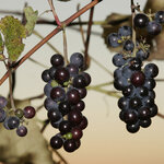 Article teaser image