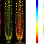 Article teaser image