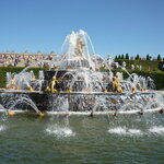 Article teaser image