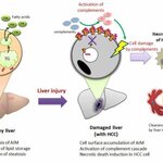 Article teaser image