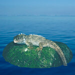 Article teaser image