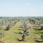 Article teaser image