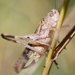 Article teaser image