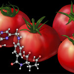 Article teaser image