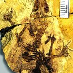 Article teaser image