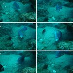 Article teaser image