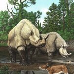 Article teaser image