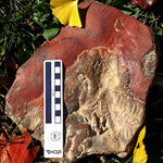 Article teaser image