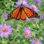 Article teaser image