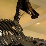 Article teaser image