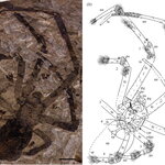 Article teaser image