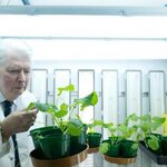 Article teaser image