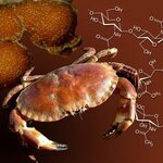 Article teaser image