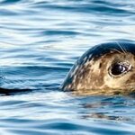 Article teaser image